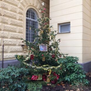 Gymnaziální vánoční strom