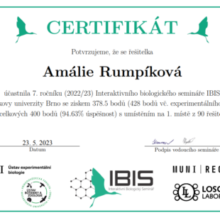 Úspěch v IBISu